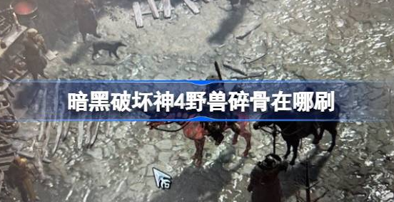 暗黑破坏神4野兽碎骨怎么获得-暗黑破坏神4野兽碎骨获取位置分享
